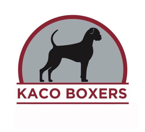 Kaco Boxers Reg'd